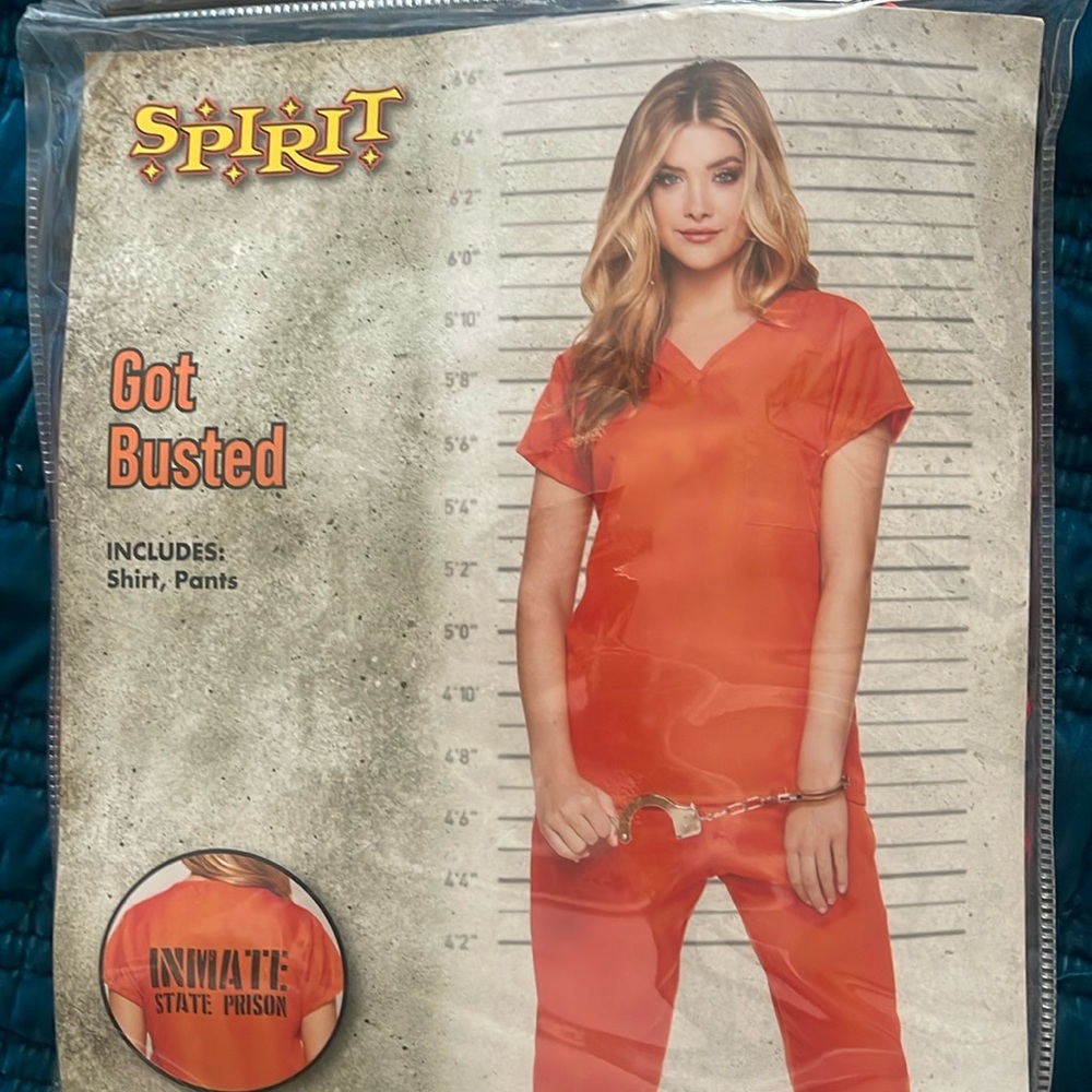 Got Busted Prisoner Costume